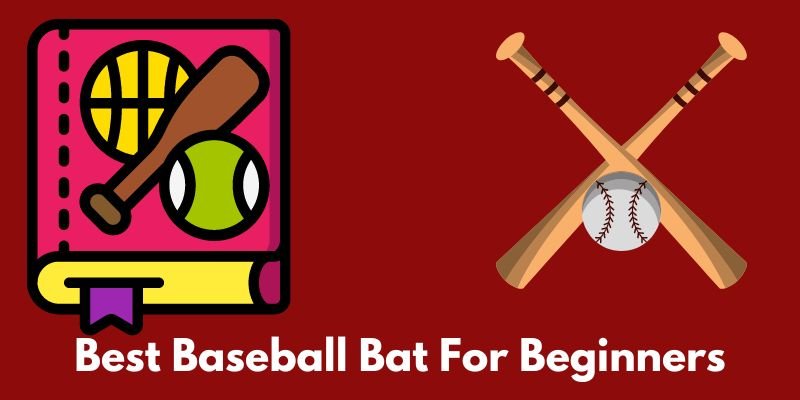 Best Baseball Bat For Beginners