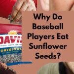 Why Do Baseball Players Eat Sunflower Seeds?