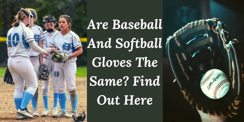 Are Baseball And Softball Gloves The Same