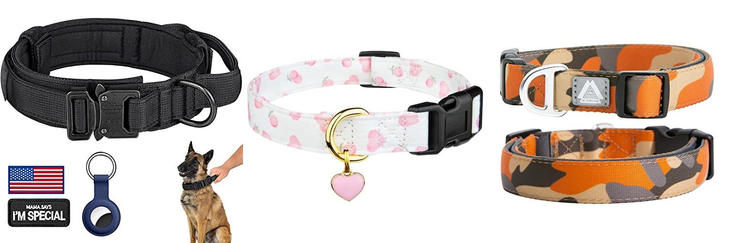 Top 5 French Bulldog Collars A Buyer's Guide